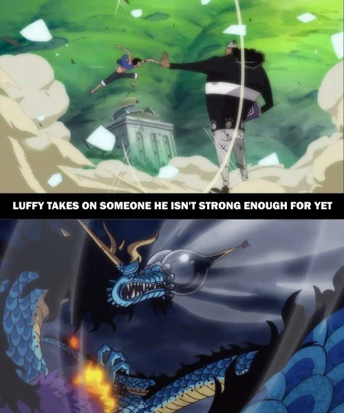 One Piece Parallels 20.jpg