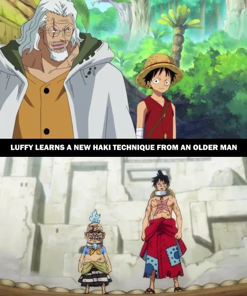 One Piece Parallels 24.jpg