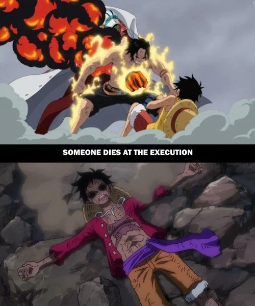 One Piece Parallels 28.jpg