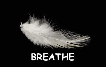 Breathe feathers.jpg