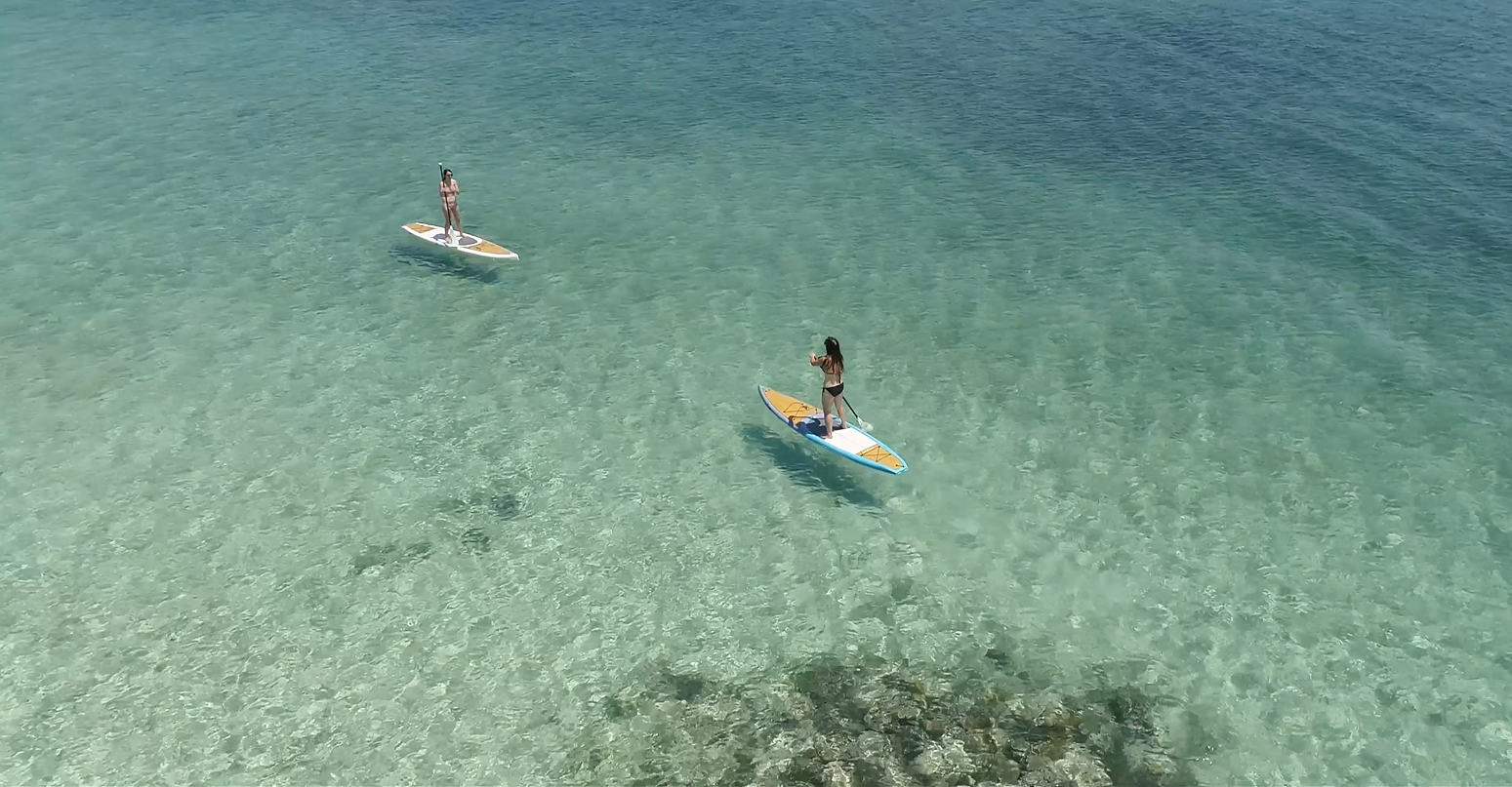 Paddle board 2.png