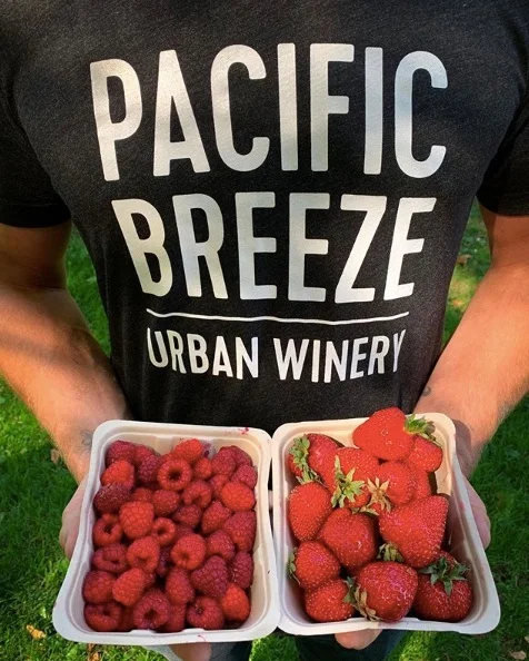 Photo Credit: Pacific Breeze Urban Winery