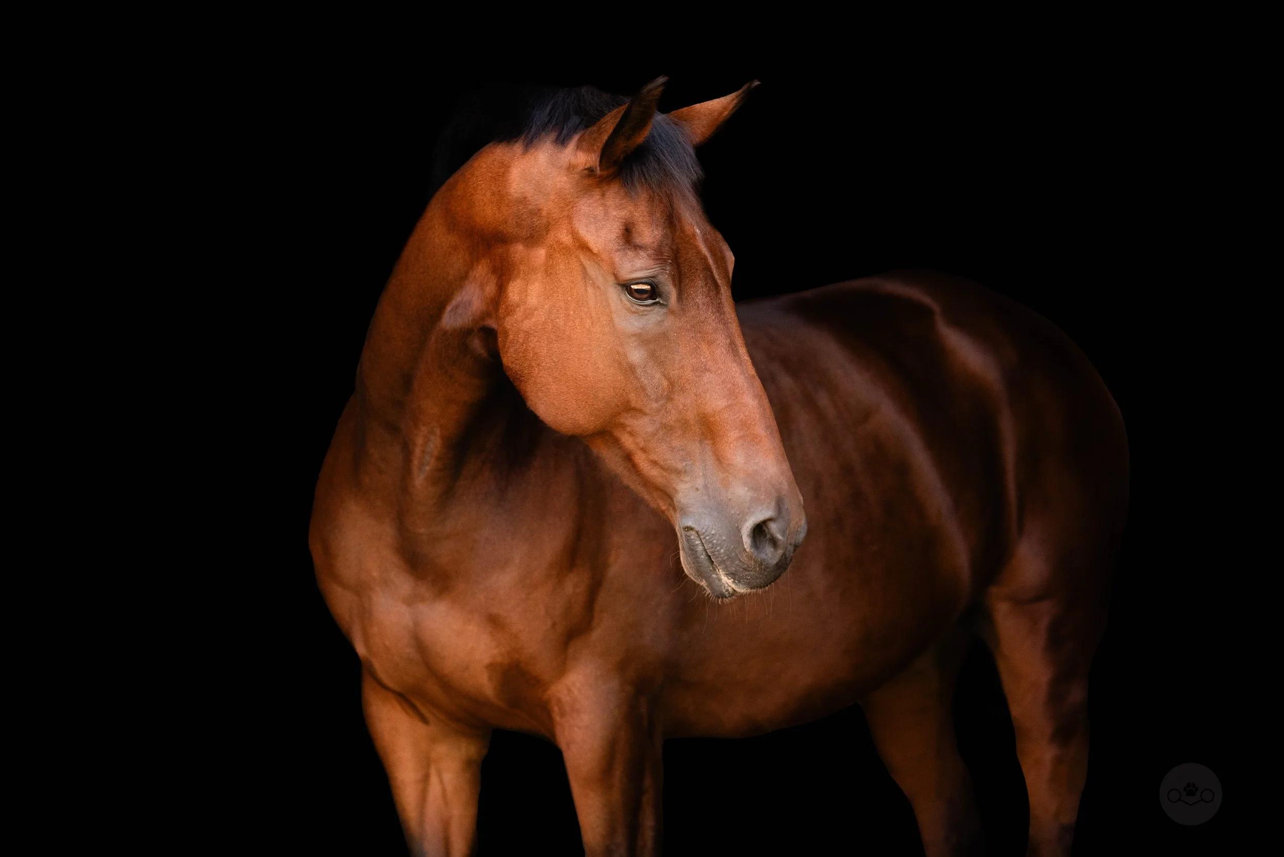 FBM_4978-Edit.jpg