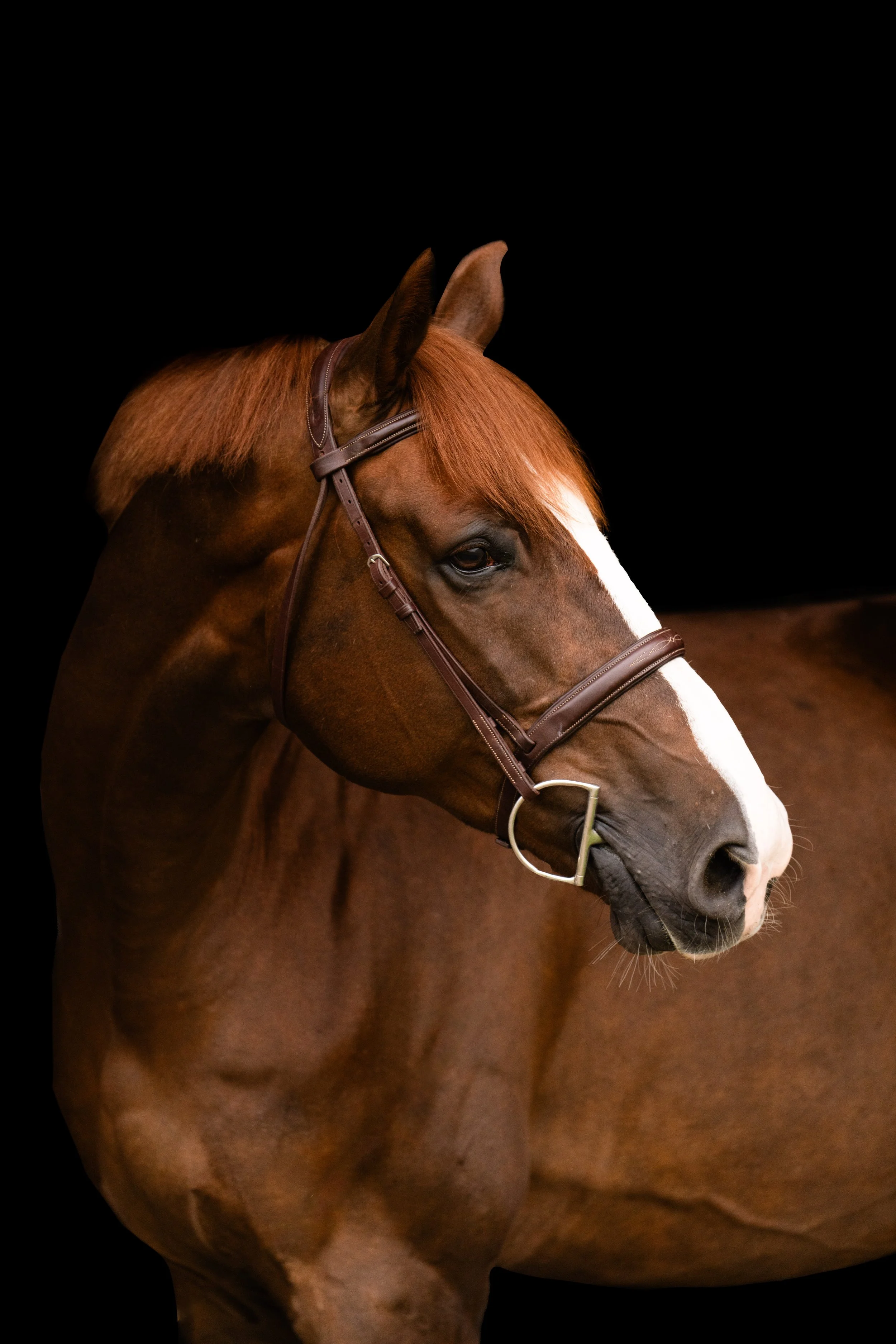 JW403409-Edit.jpg