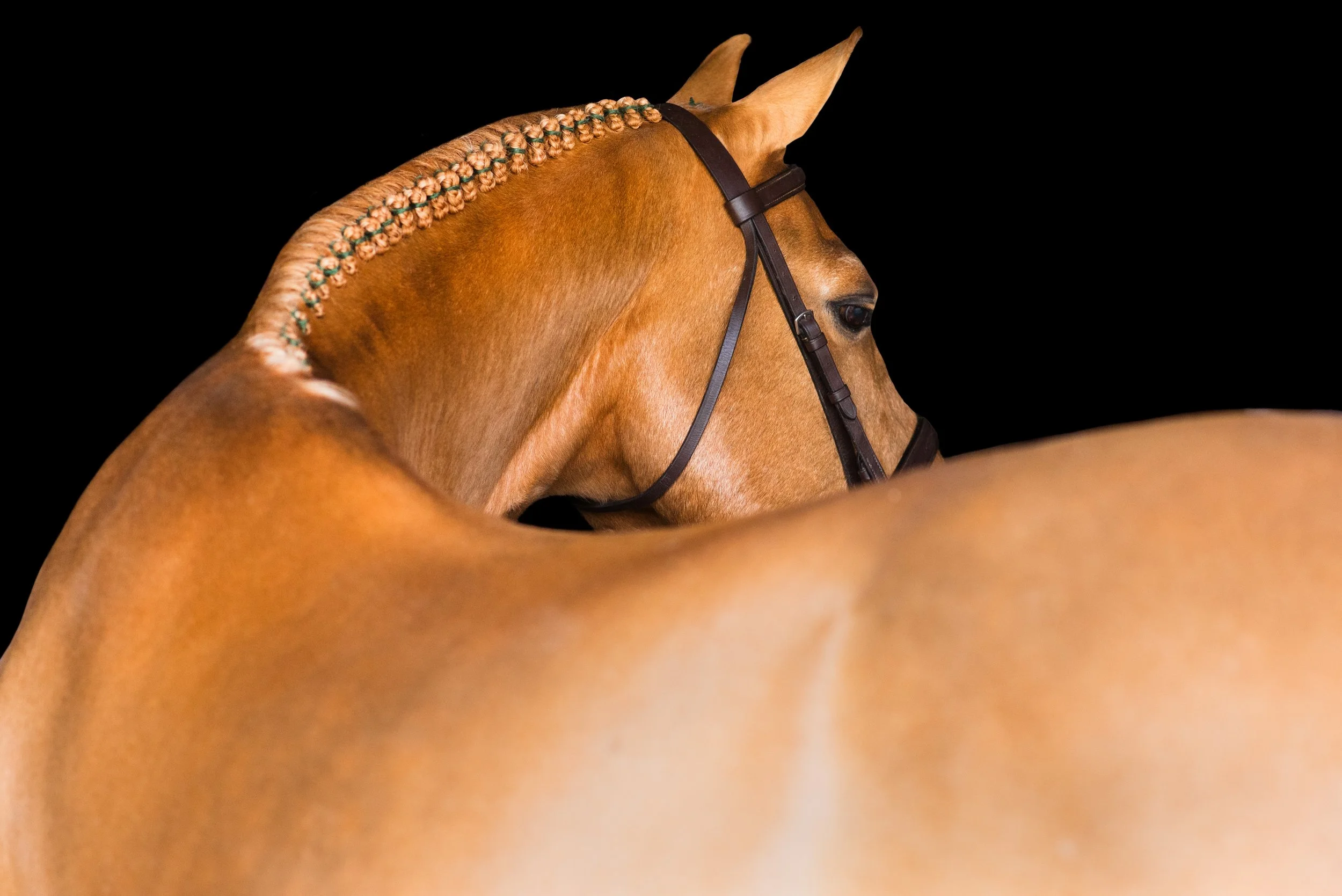 FBM_1043-Edit.jpg