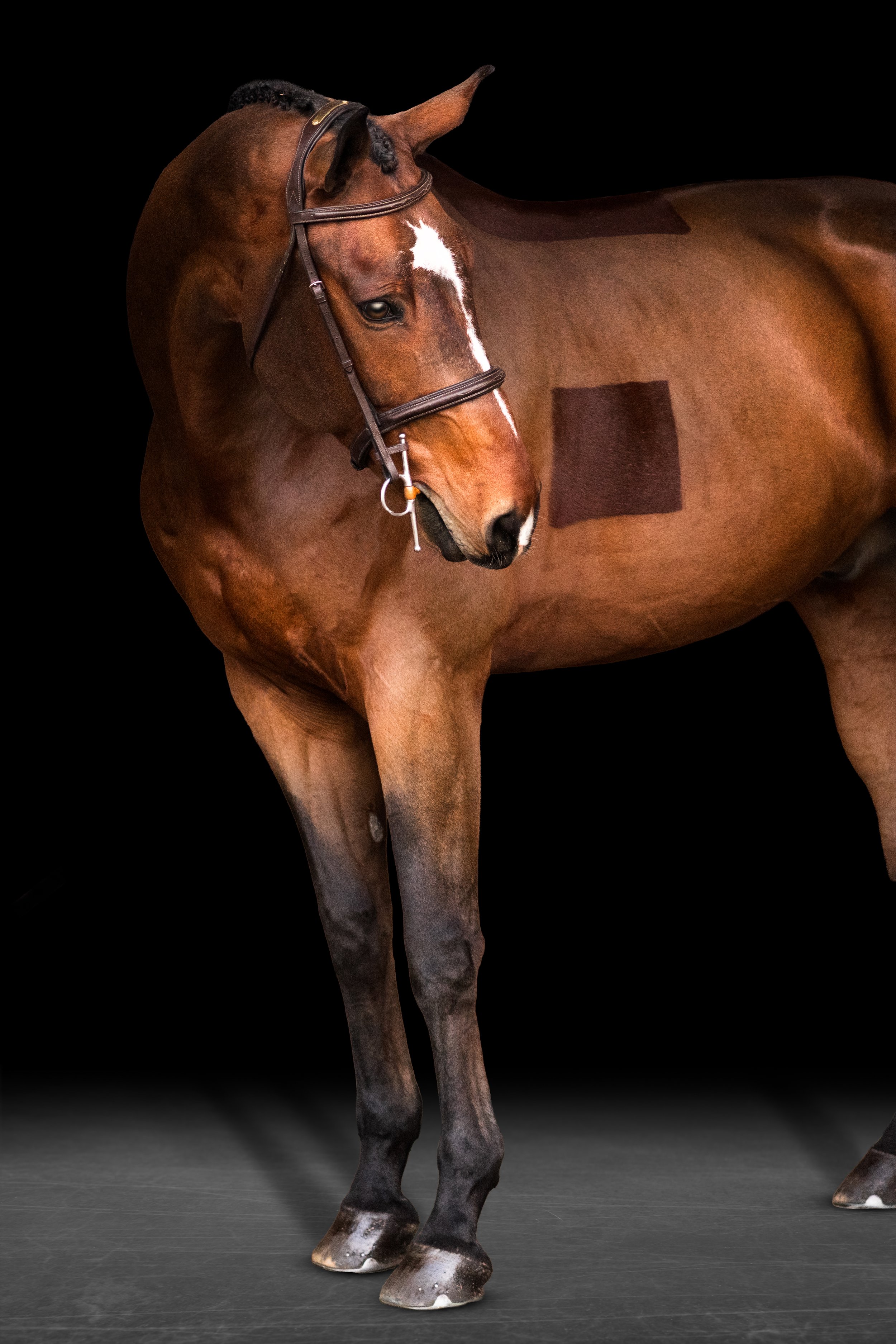 FBM_0393-Edit.jpg