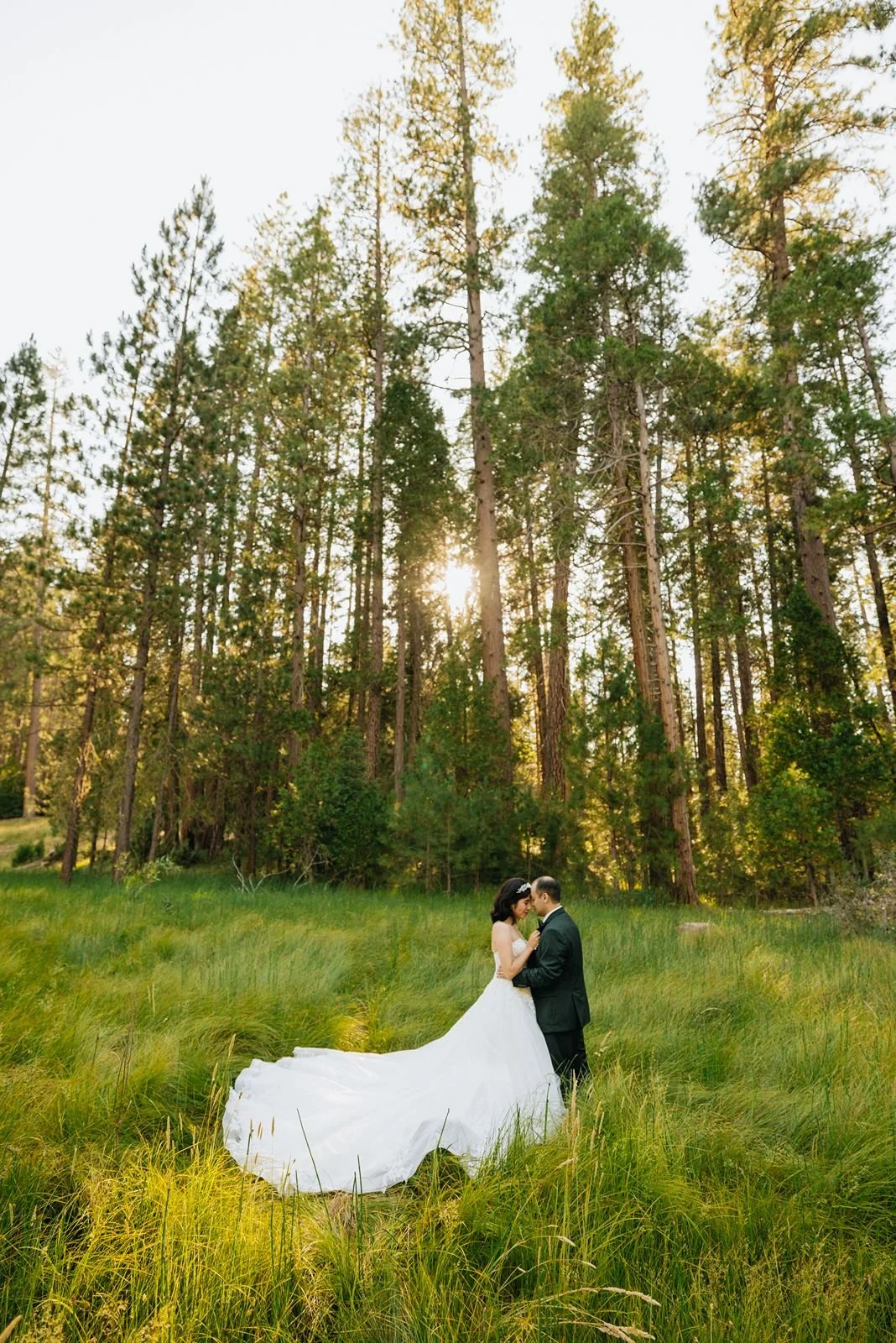 A bride and groom stand close together in a grassy clearing surrounded by tall pine trees, with sunlight shining through the trees behind them.
