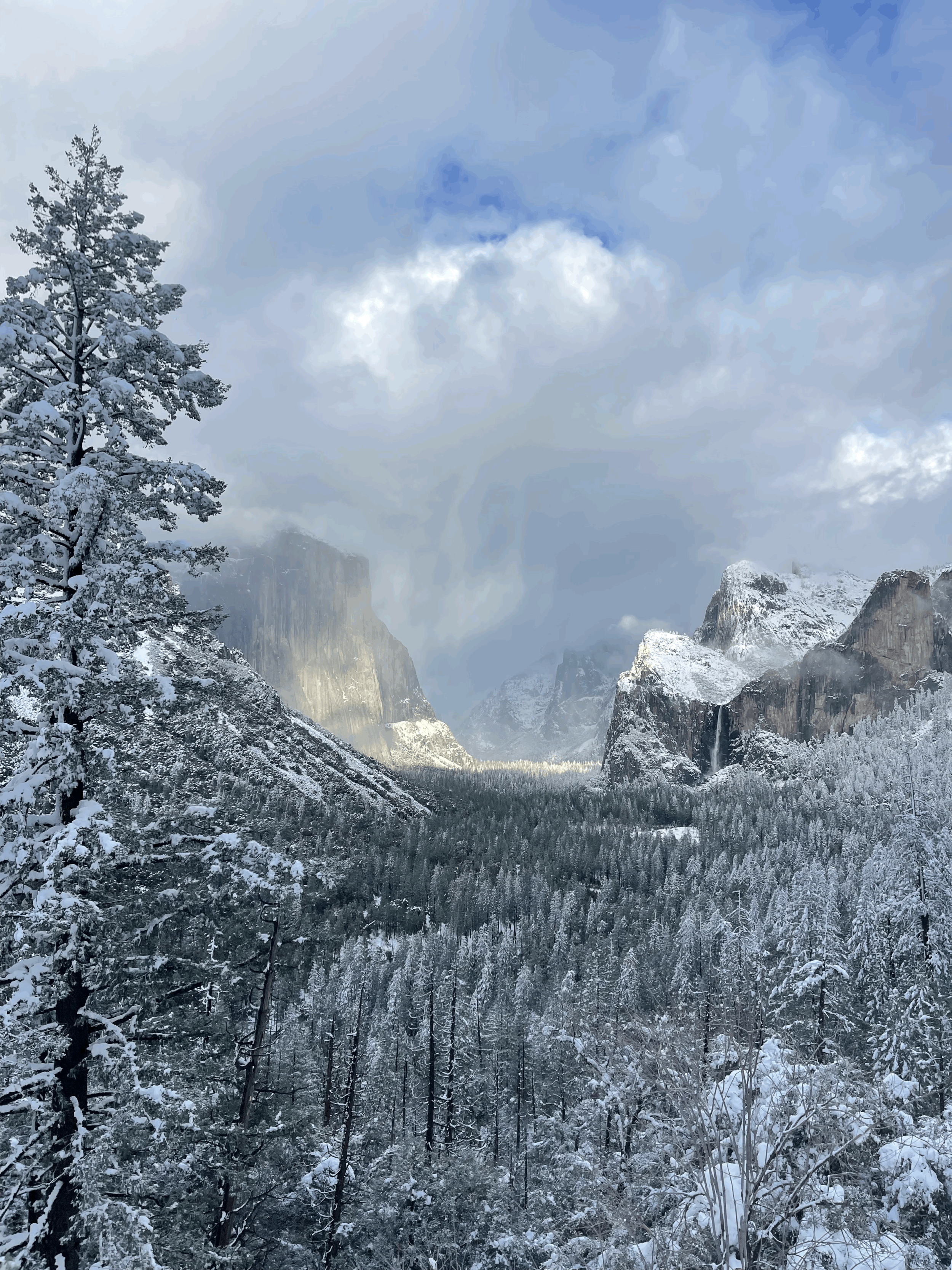 Magical Winter Trip Yosemite Guide: What You Need to Know