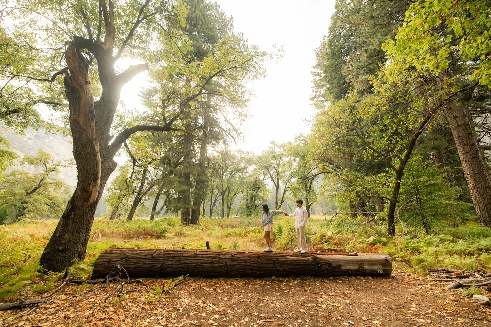 yosemite-engagement-photoshoot-inspiration-2.jpg