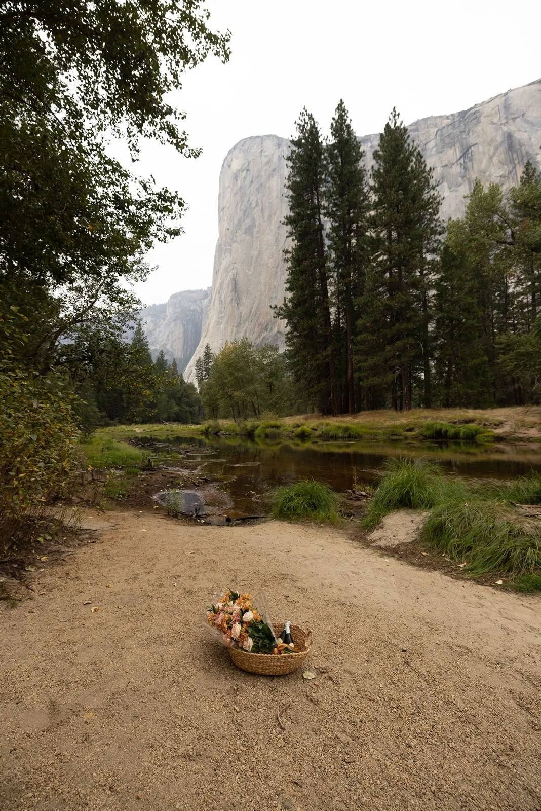 brandon-paige-yosemite-valley-cathedral-beach-proposal-2.jpg