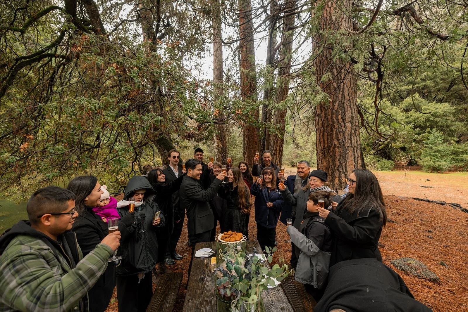 winter-wedding-yosemite-cascade-picnic-area-6.jpg