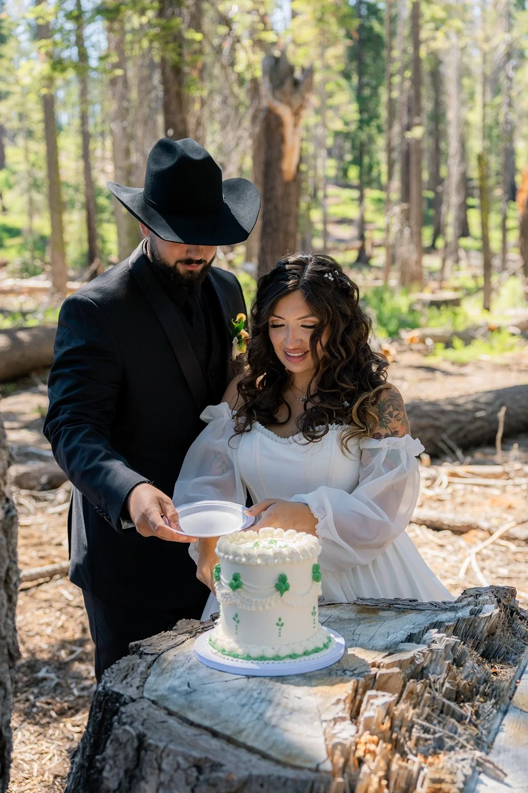 yosemite-wedding-picnic-1.jpg