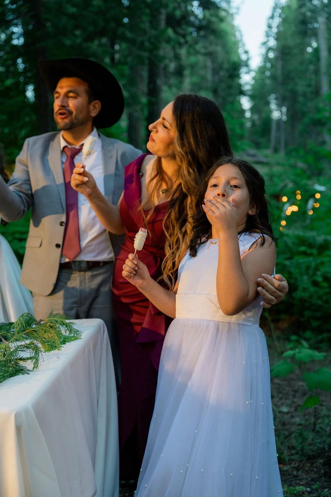Yosemite-cabin-wedding-reception-14.jpg