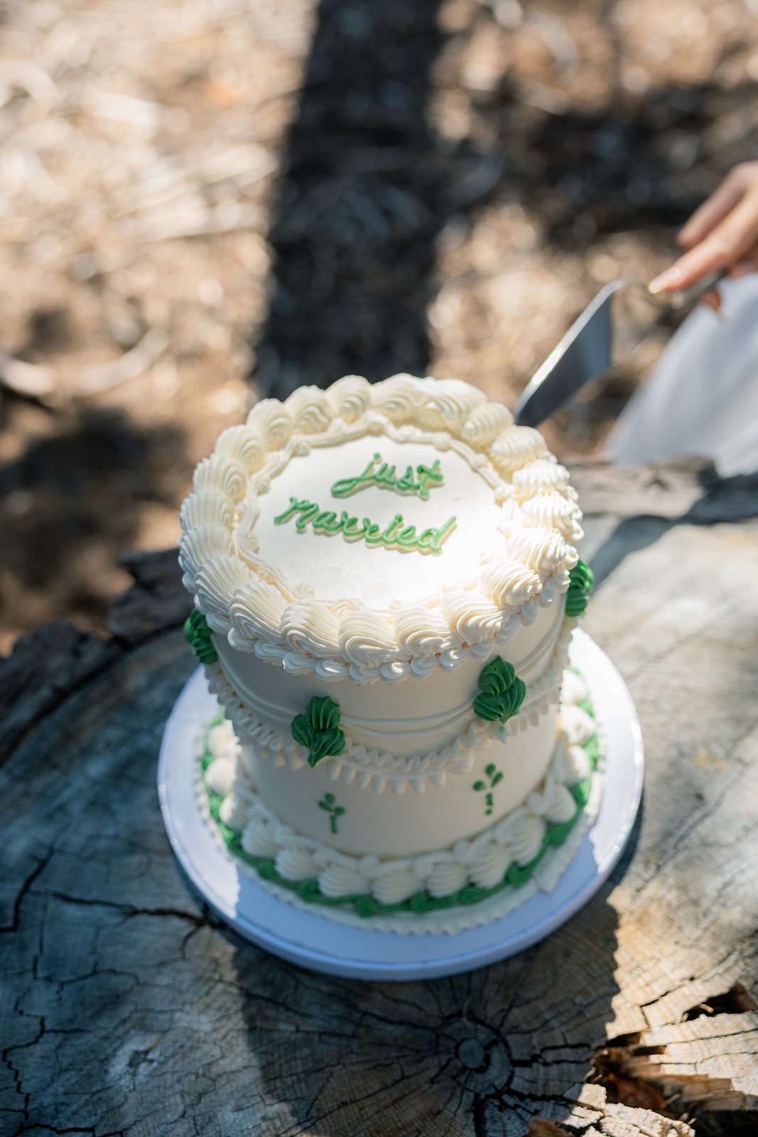 yosemite-wedding-picnic-14.jpg