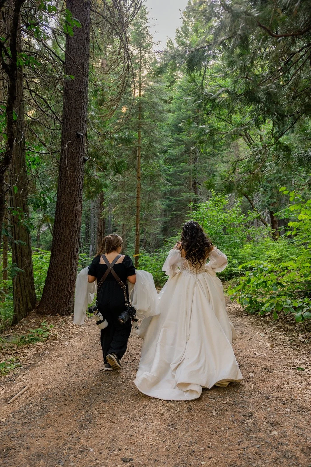 forest-wedding-photos-3.jpg