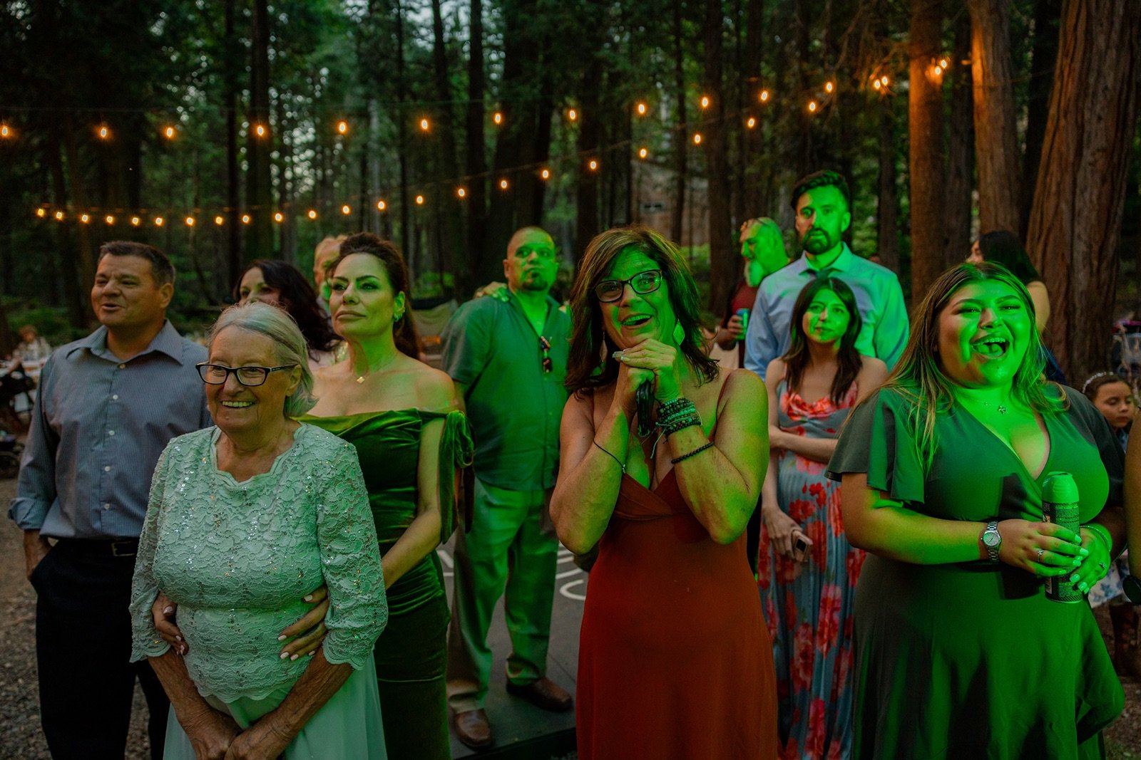 Yosemite-cabin-wedding-reception-1.jpg