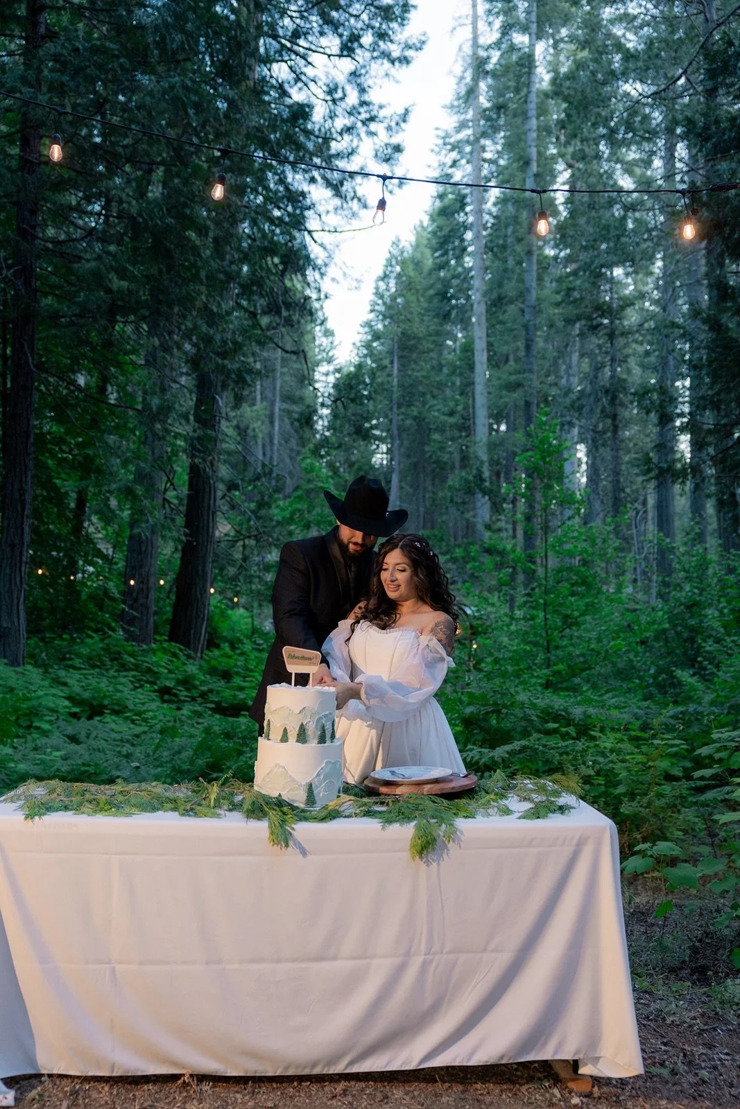 Yosemite-cabin-wedding-reception-15.jpg