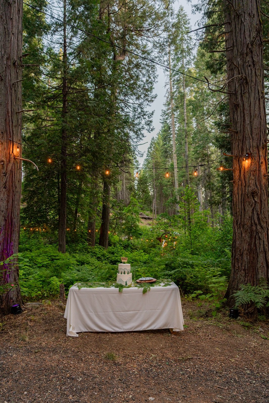 Yosemite-cabin-wedding-reception-33.jpg