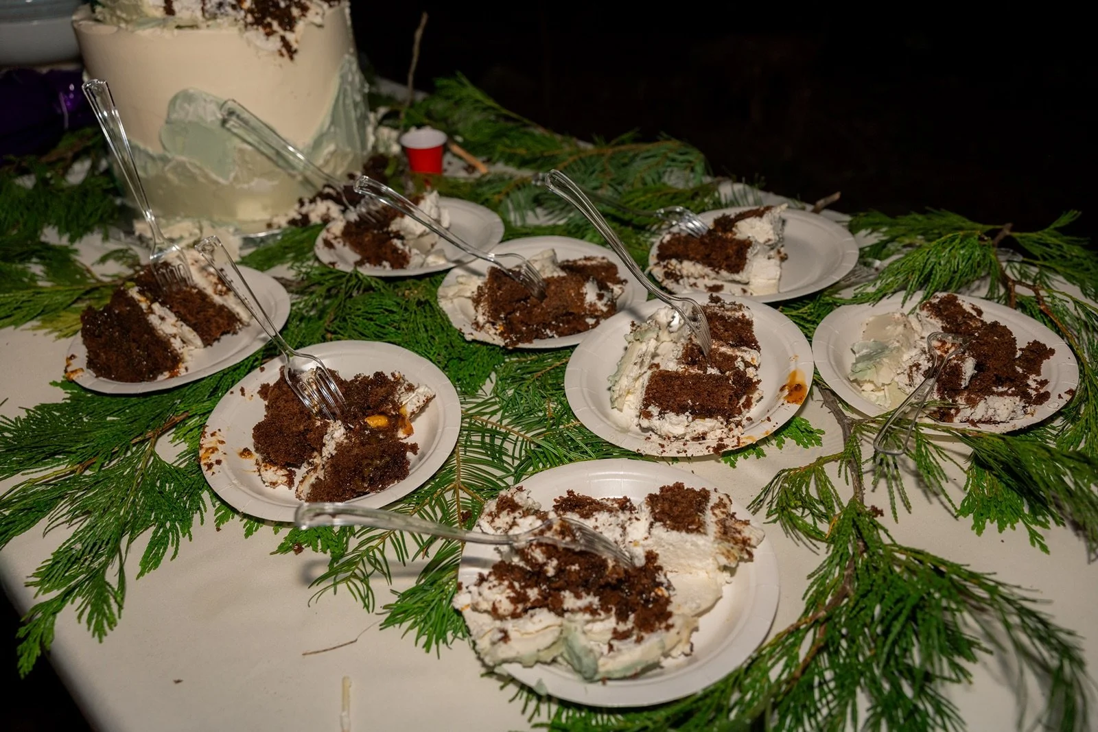 Yosemite-cabin-wedding-reception-38.jpg