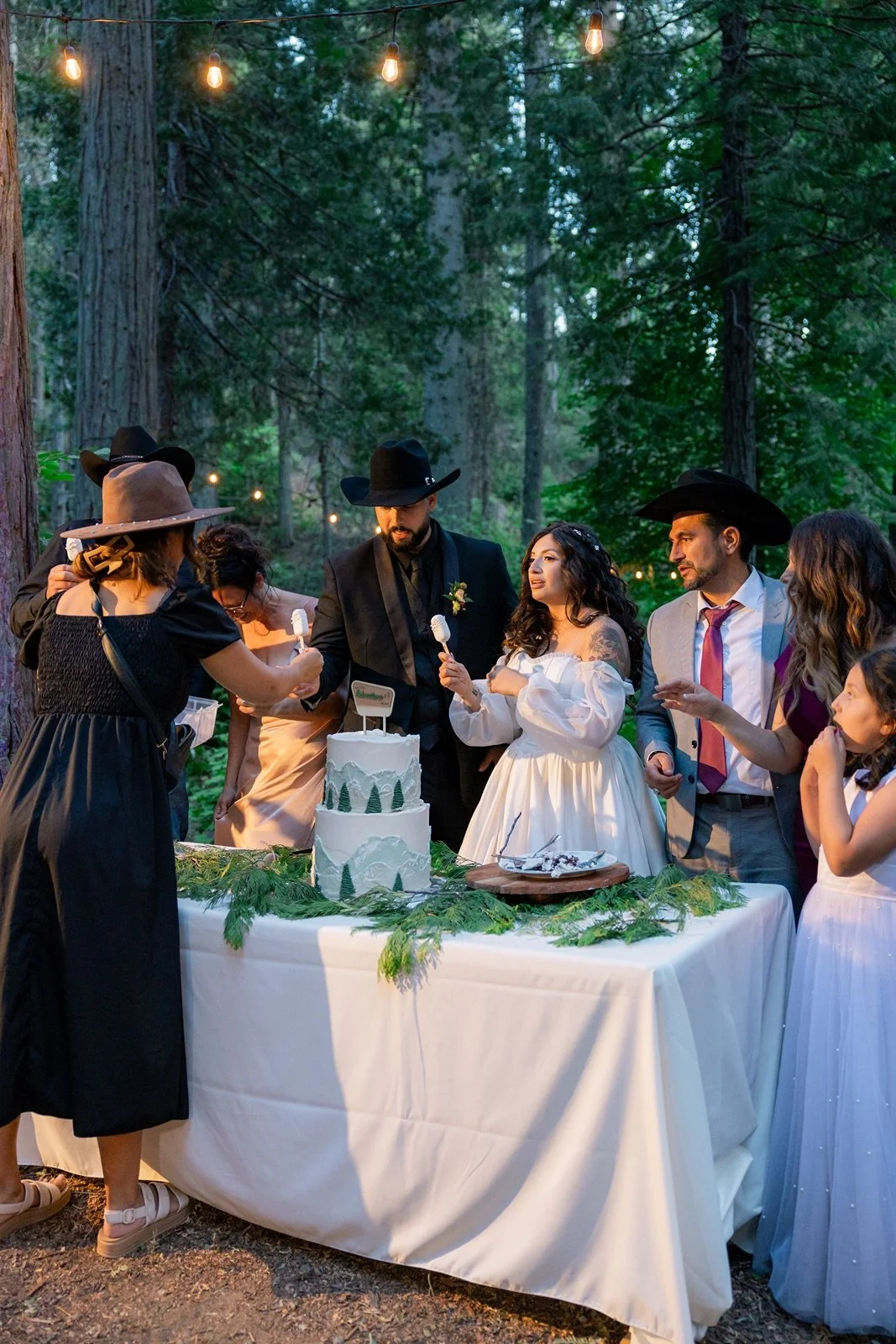 Yosemite-cabin-wedding-reception-44.jpg