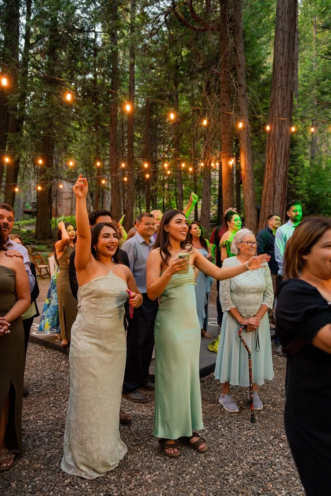 Yosemite-cabin-wedding-reception-49.jpg