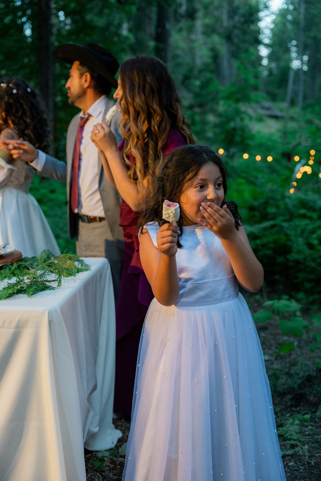 Yosemite-cabin-wedding-reception-52.jpg