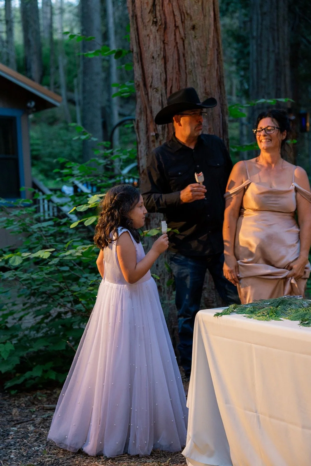 Yosemite-cabin-wedding-reception-59.jpg