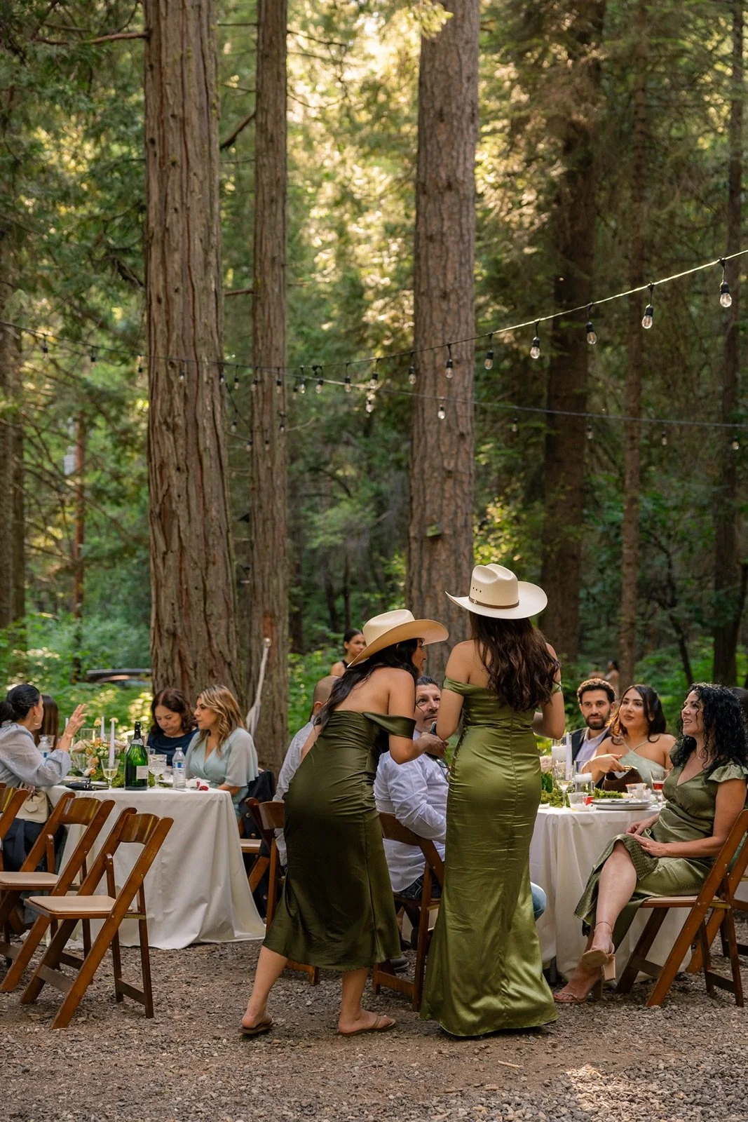 Yosemite-cabin-wedding-reception-63.jpg