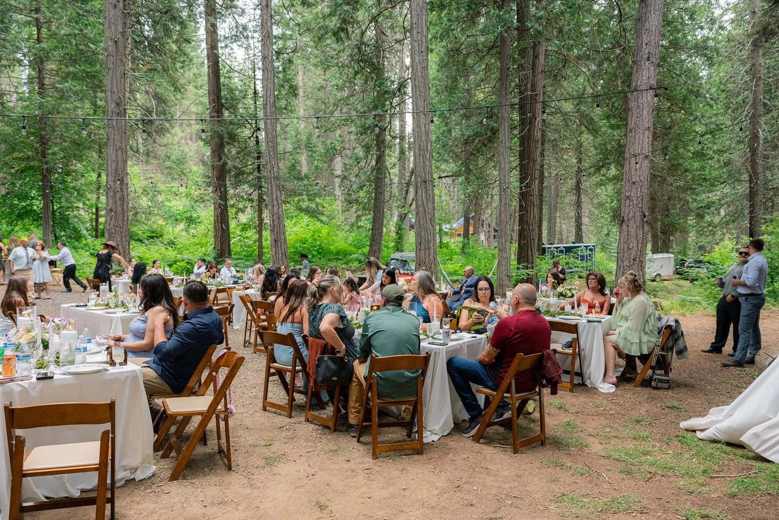Yosemite-cabin-wedding-reception-66.jpg