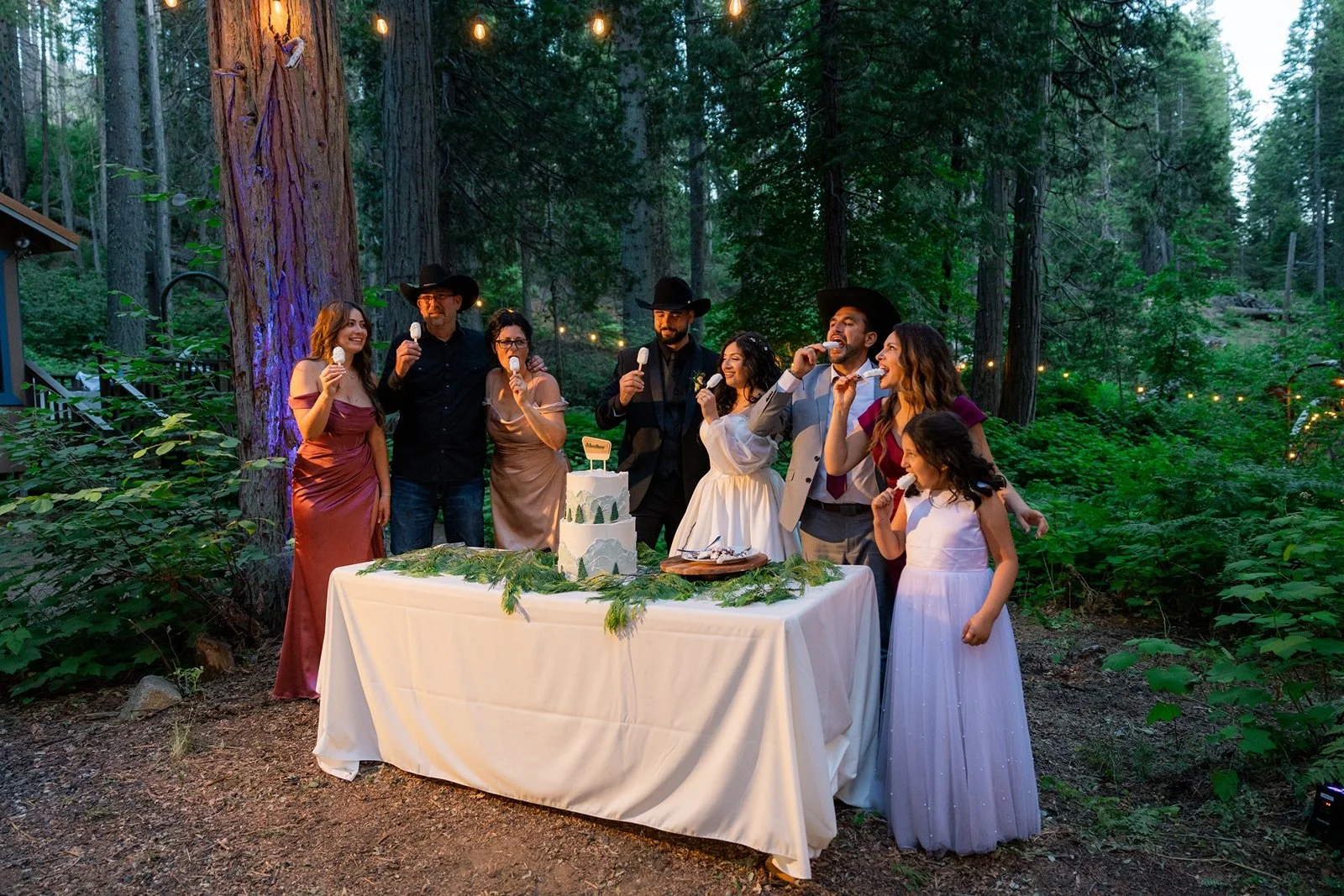 Yosemite-cabin-wedding-reception-69.jpg
