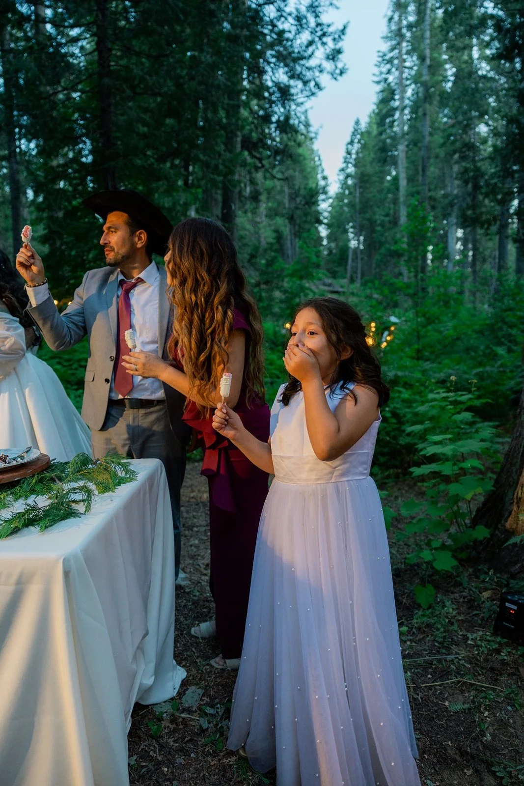 Yosemite-cabin-wedding-reception-70.jpg