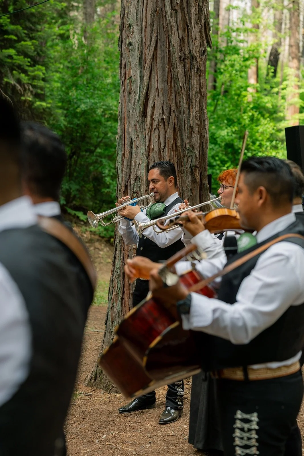 Yosemite-cabin-wedding-reception-74.jpg