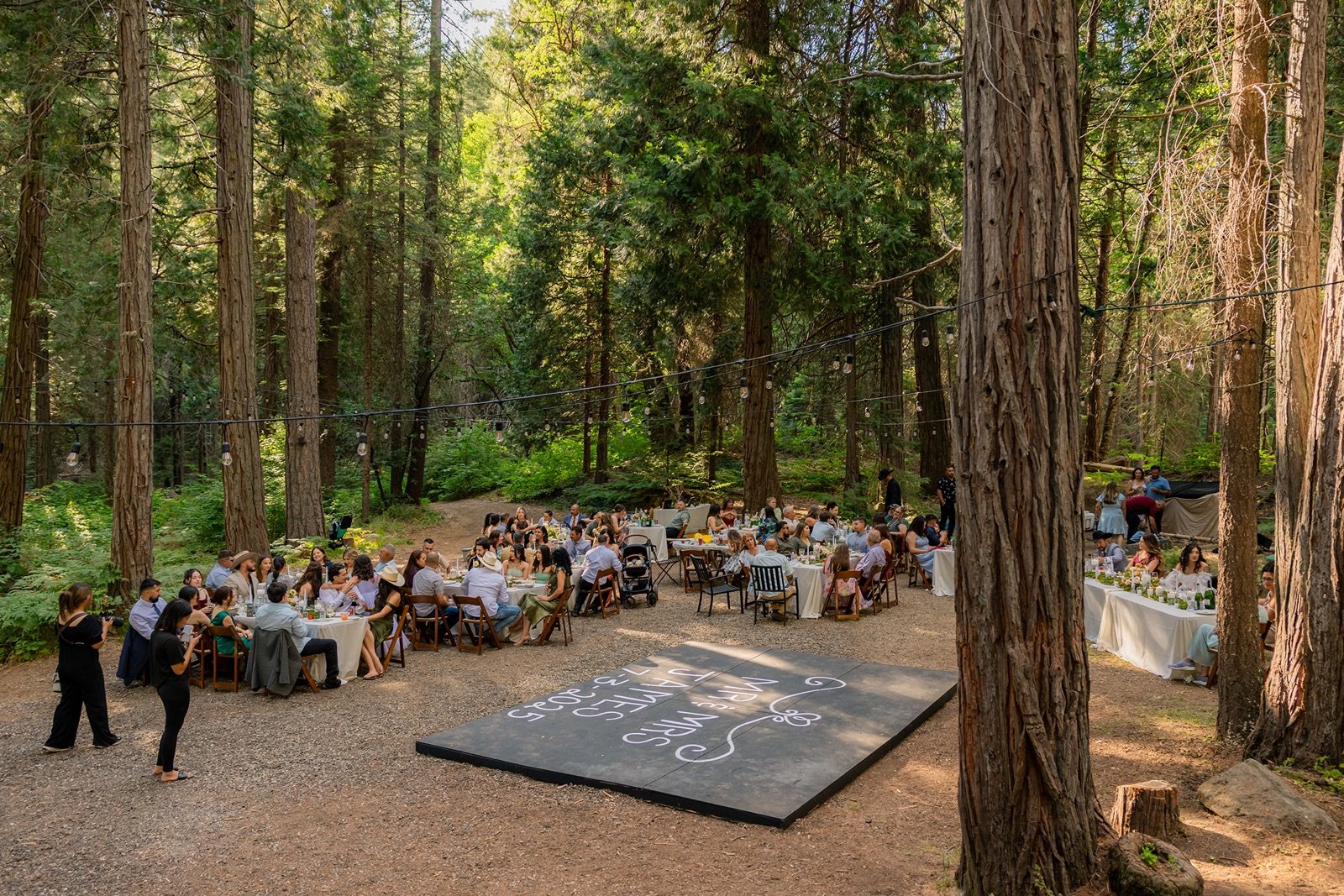 Yosemite-cabin-wedding-reception-78.jpg