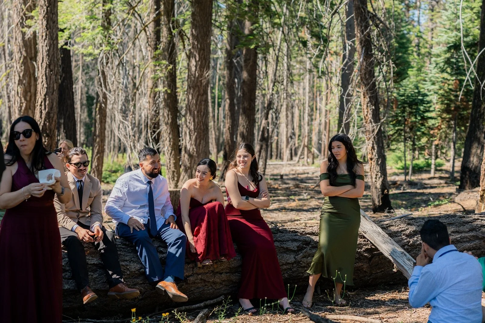 yosemite-wedding-picnic-2.jpg