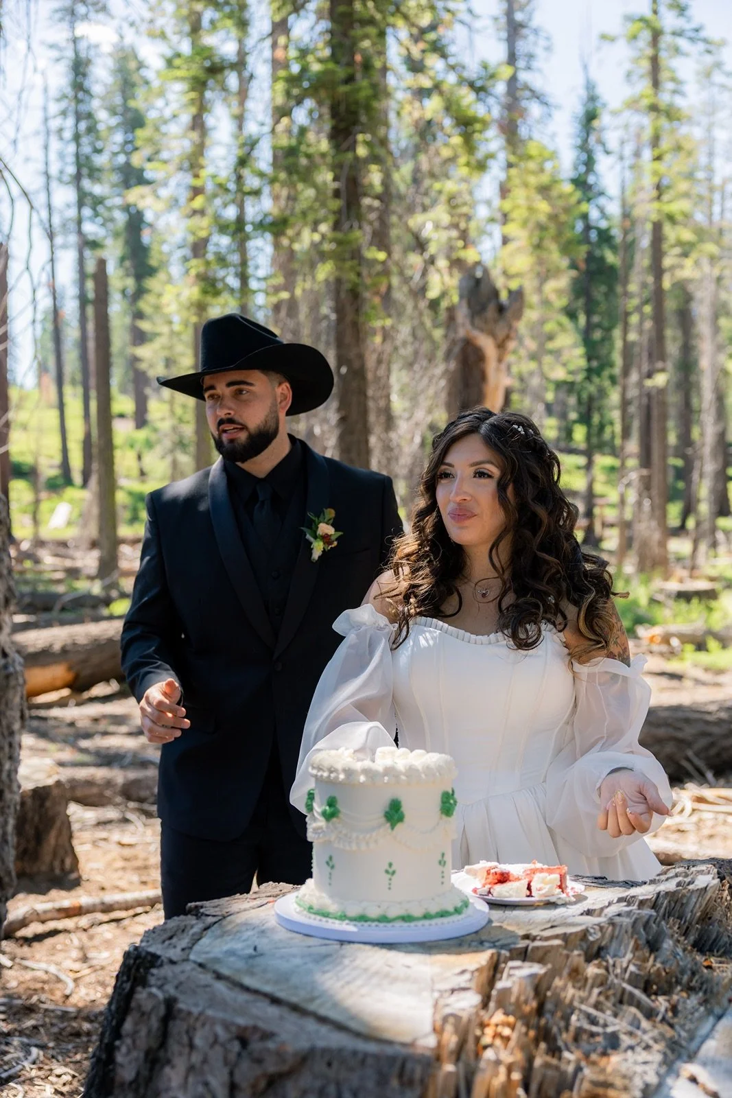 yosemite-wedding-picnic-3.jpg