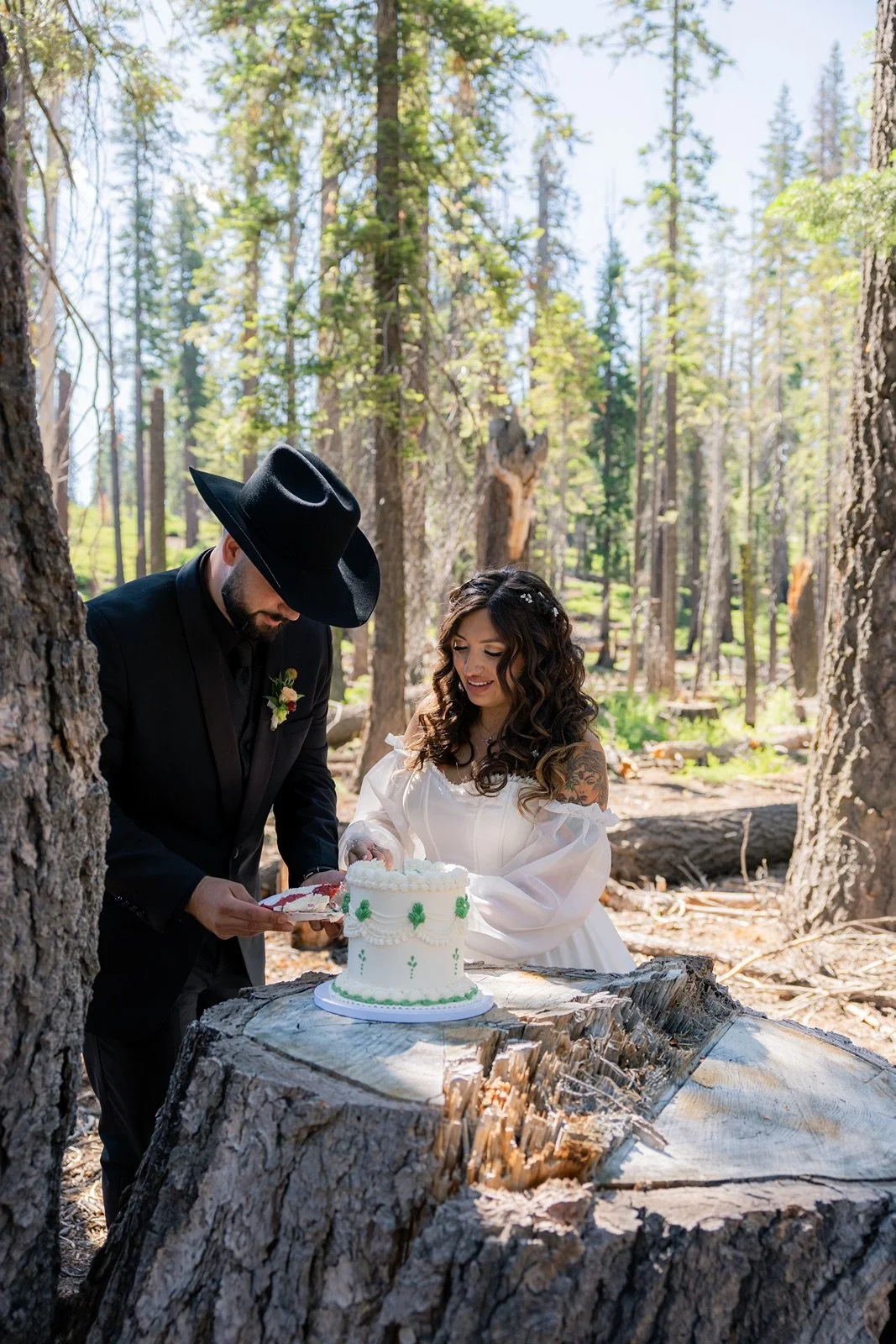 yosemite-wedding-picnic-4.jpg