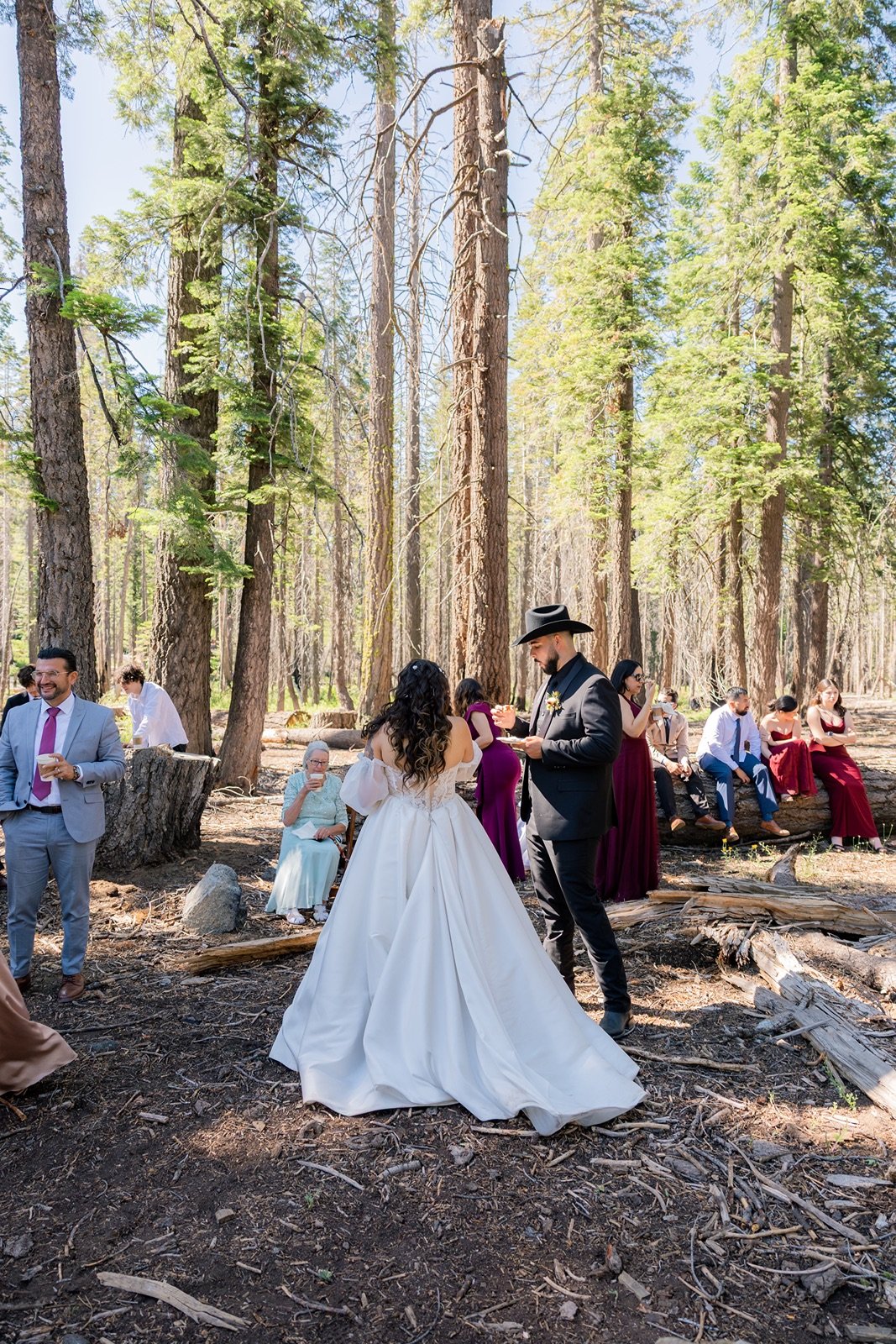 yosemite-wedding-picnic-7.jpg