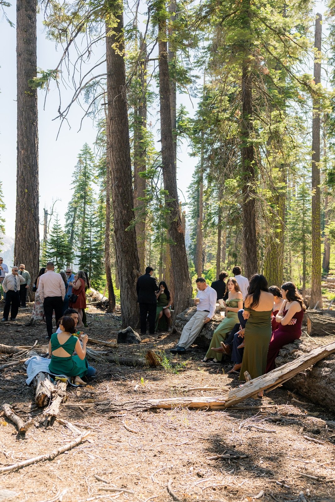 yosemite-wedding-picnic-8.jpg