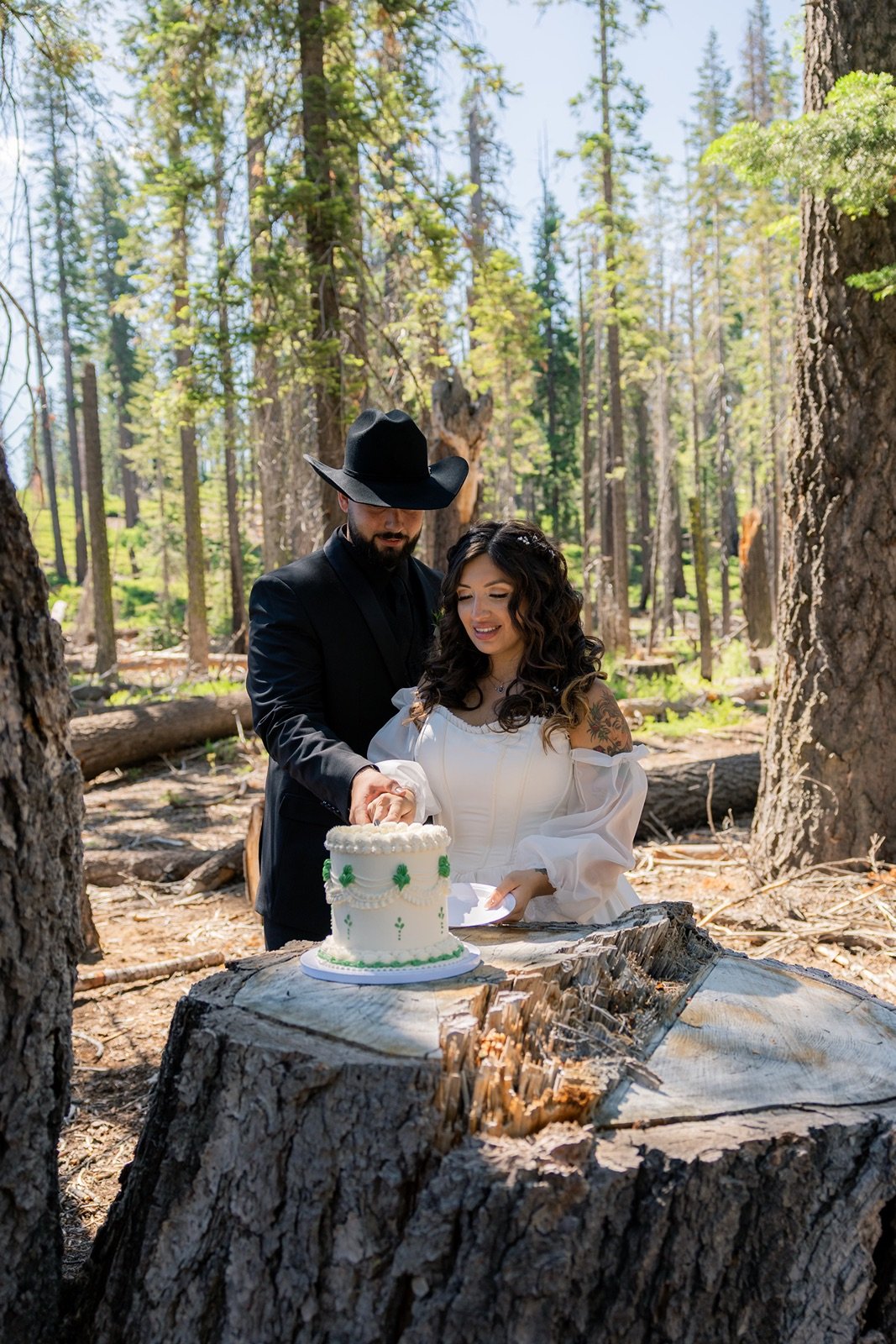 yosemite-wedding-picnic-10.jpg