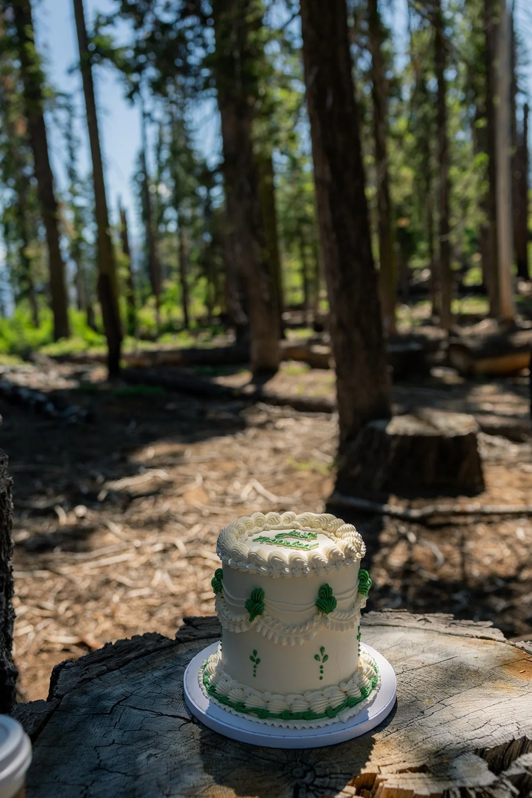 yosemite-wedding-picnic-11.jpg