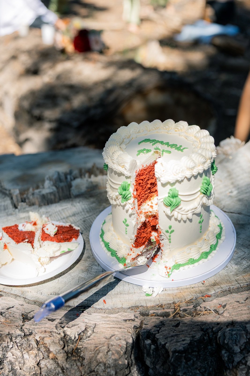 yosemite-wedding-picnic-12.jpg