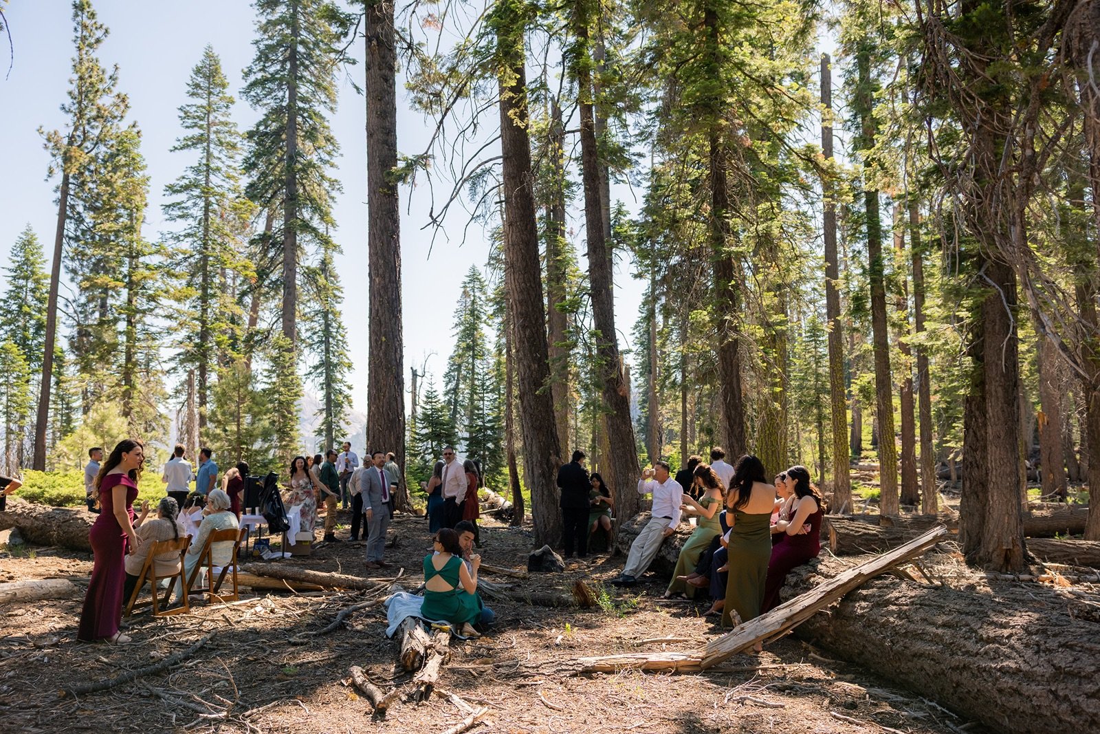 yosemite-wedding-picnic-13.jpg