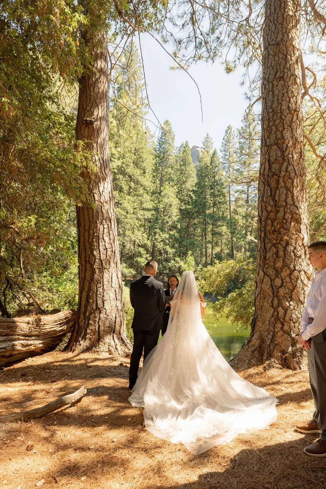 cascades-picnic-yosemite-wedding2.jpg