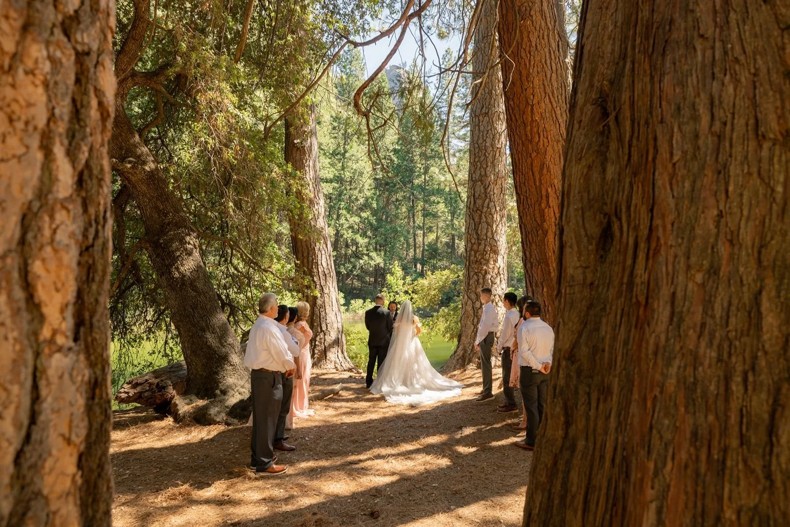 cascades-picnic-area-yosemite-wedding3.jpg