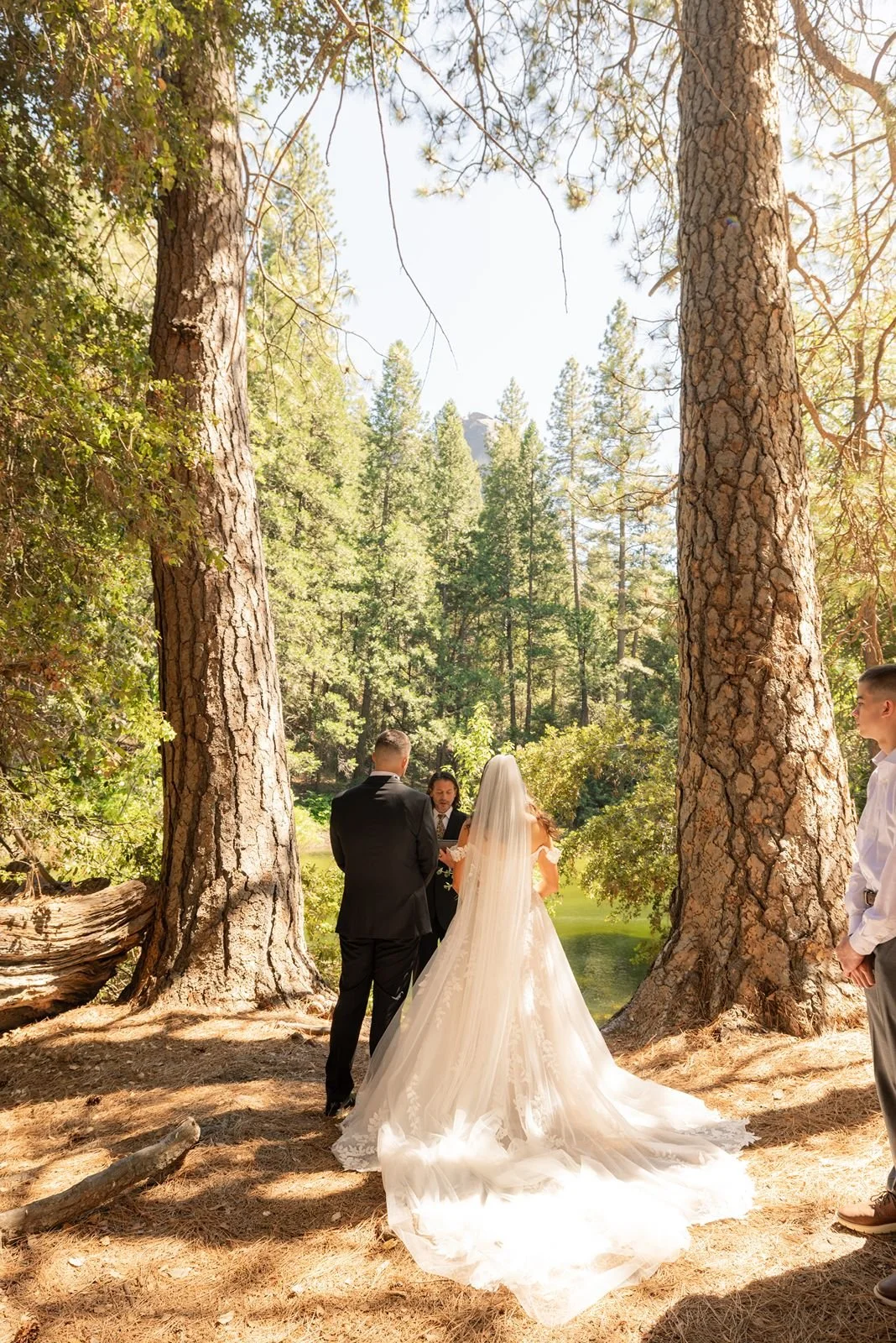 cascades-picnic-area-yosemite-wedding4.jpg