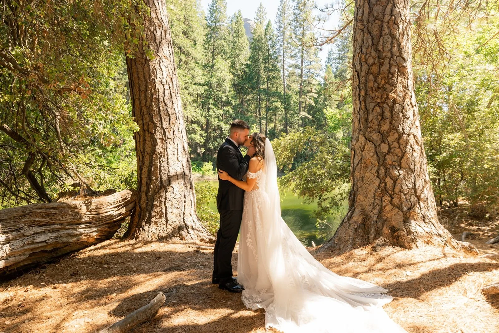 cascades-picnic-area-yosemite-wedding6.jpg
