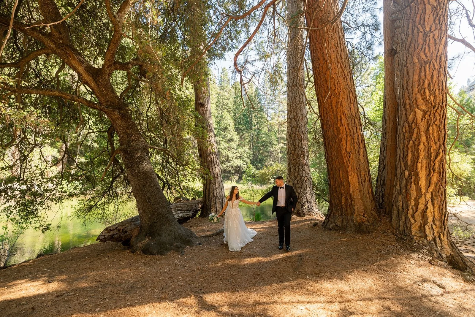cascades-picnic-area-yosemite-wedding11.jpg