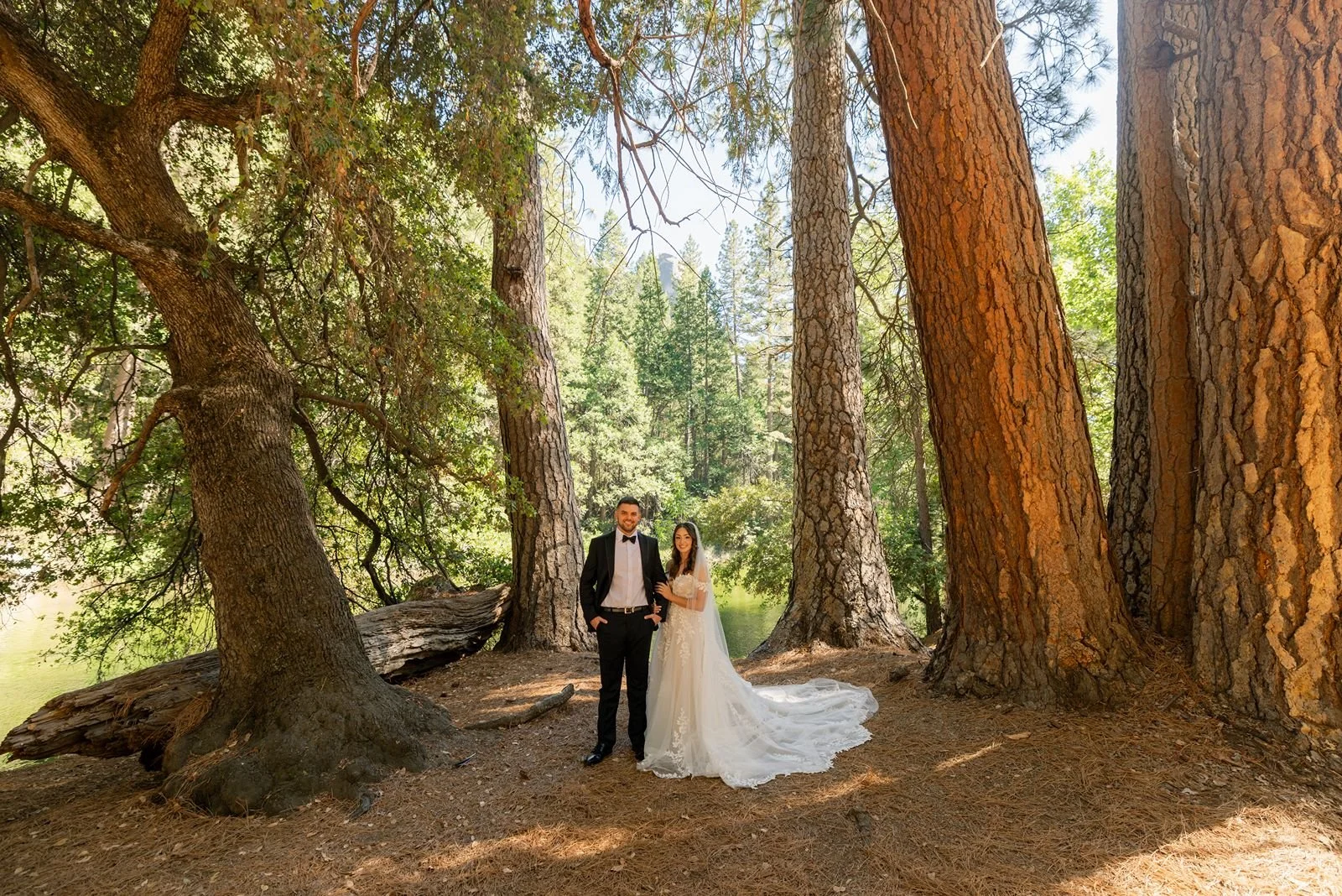cascades-picnic-area-yosemite-wedding12.jpg