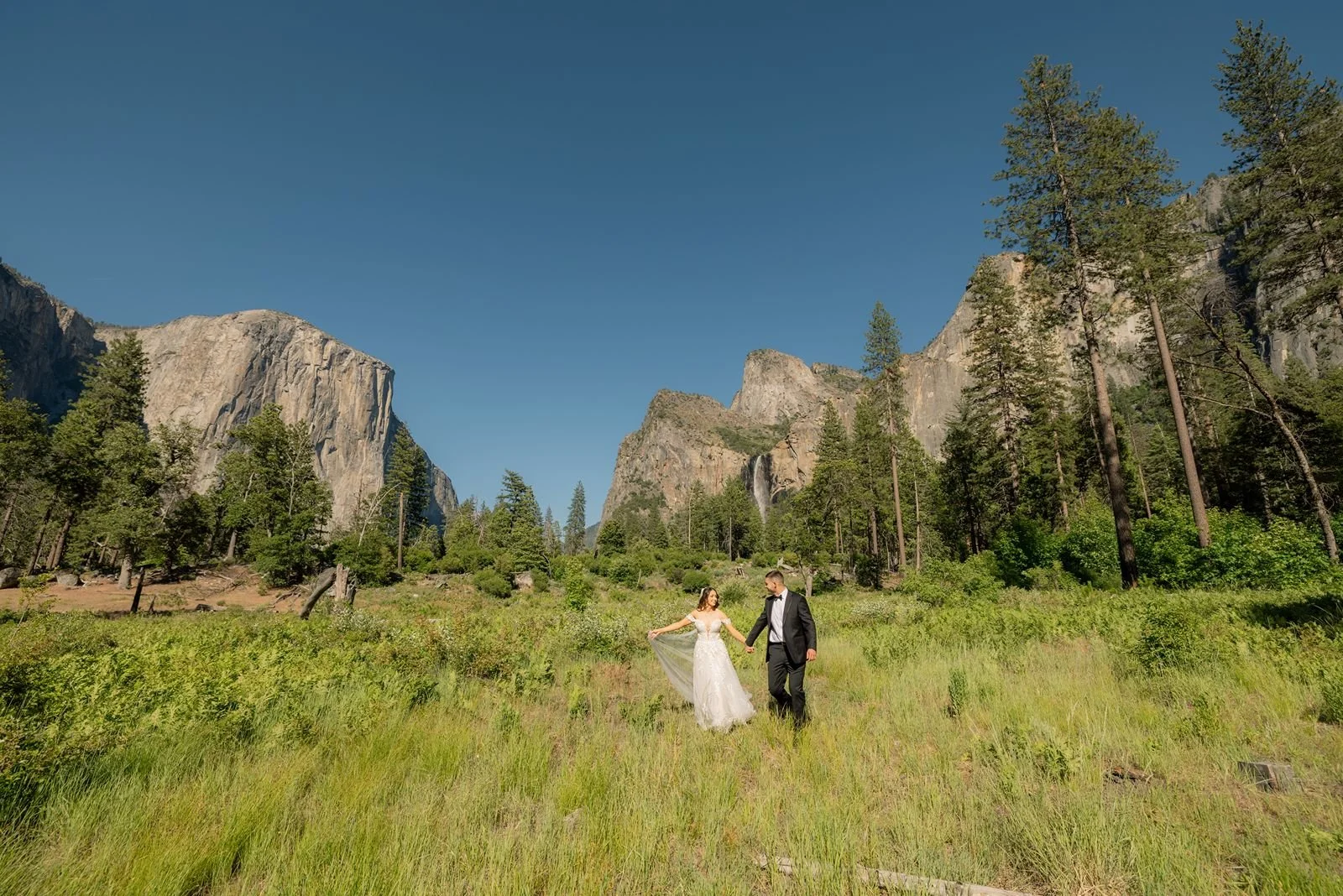 cascades-picnic-area-yosemite-wedding14.jpg