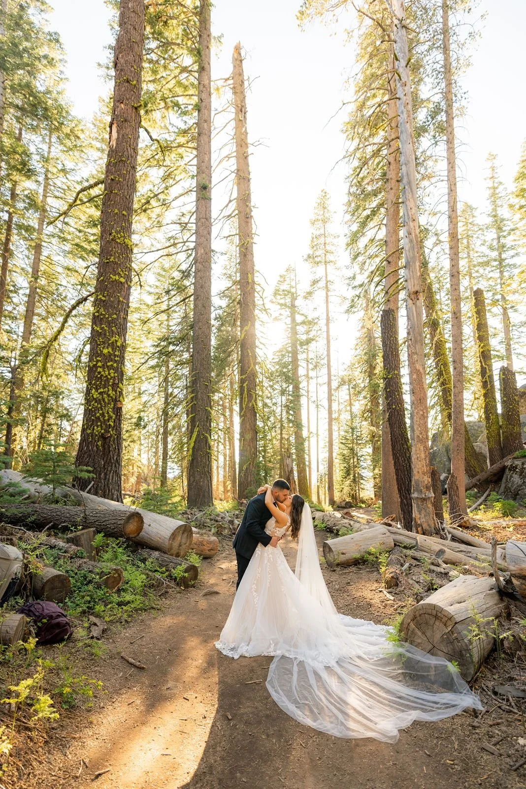 forest-yosemite-wedding26.jpg